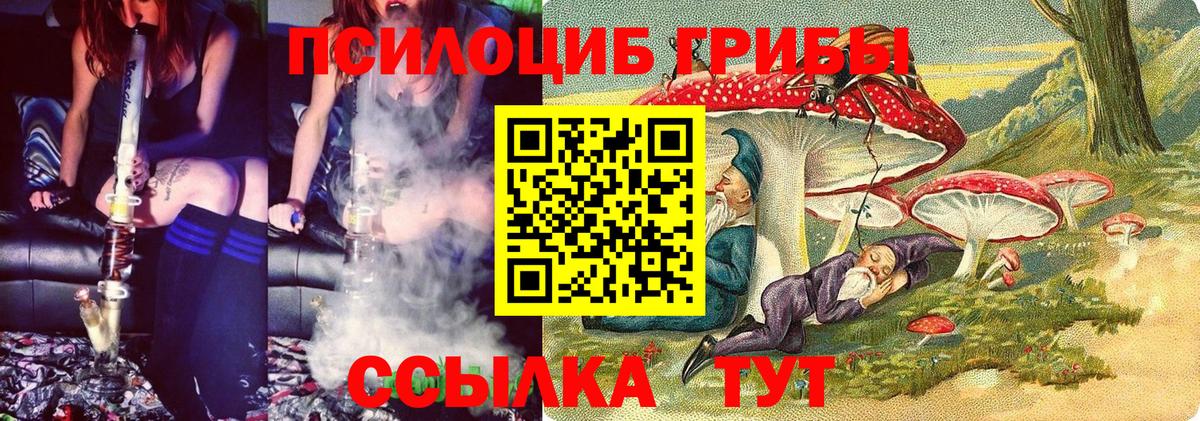 Галлюциногенные грибы мухоморы Михайловск