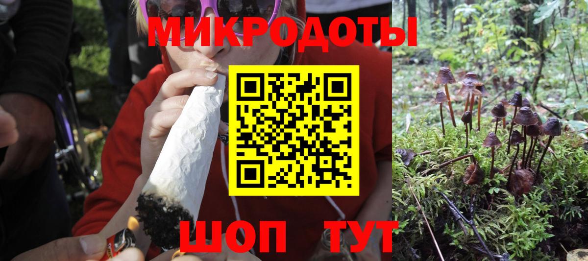 Галлюциногенные грибы мицелий  Вход с VPN  Михайловск 